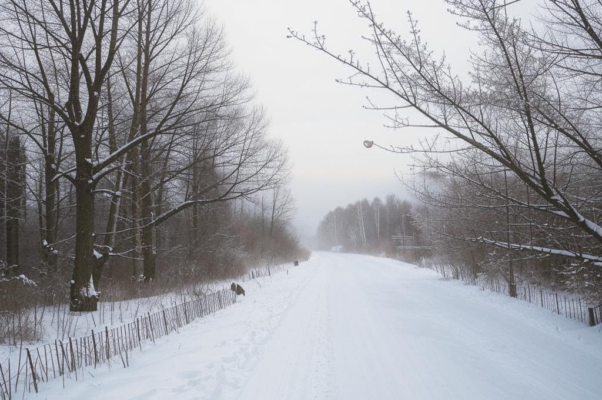 Зимняя дорога («Сквозь волнистые туман…»)