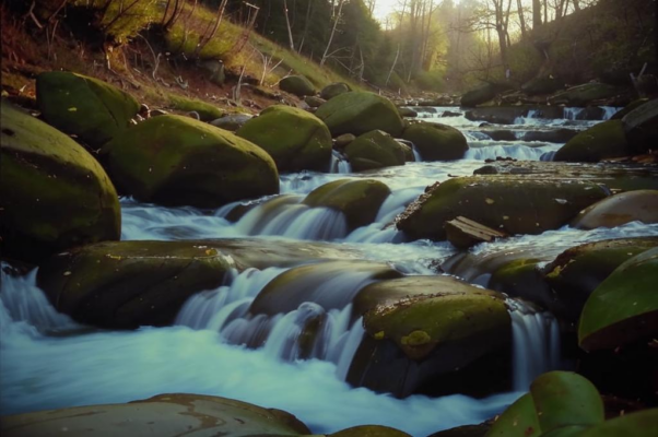 Вальс («Ев.  Д. Зво…»)