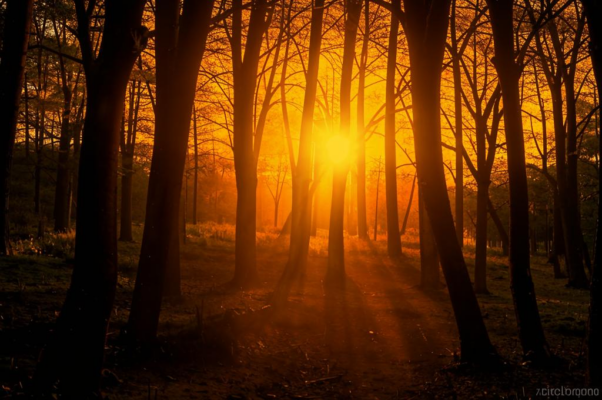 «Закатилось солнце, заиграли краски...»