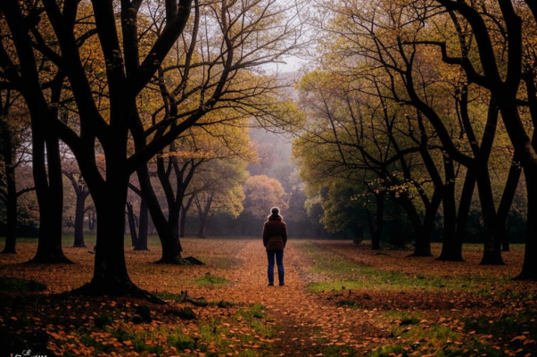 Одиночество («По обезлиственному сад…»)