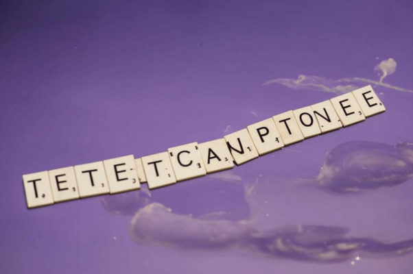 Творение мира («Слов…»)