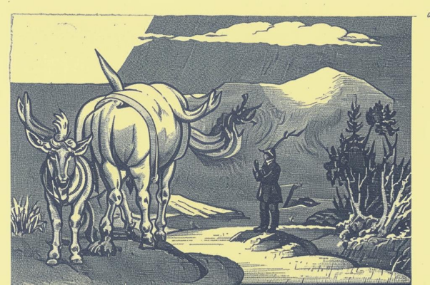 «Не дивно то, что ты осла нарек быком...»