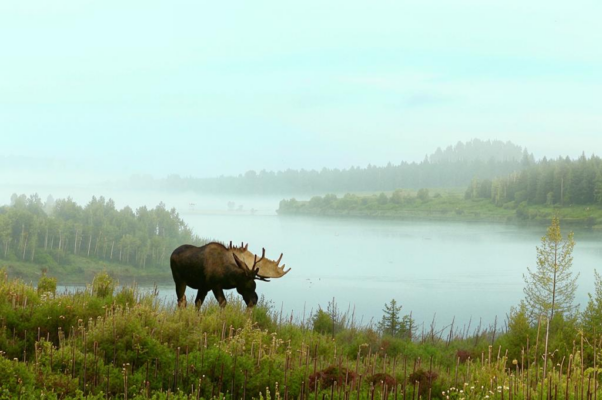«Вижу себя уже издали ...»