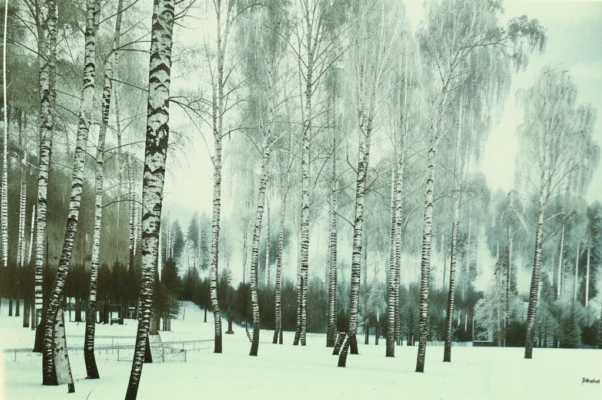 «Дай упиться мне разбегом...»