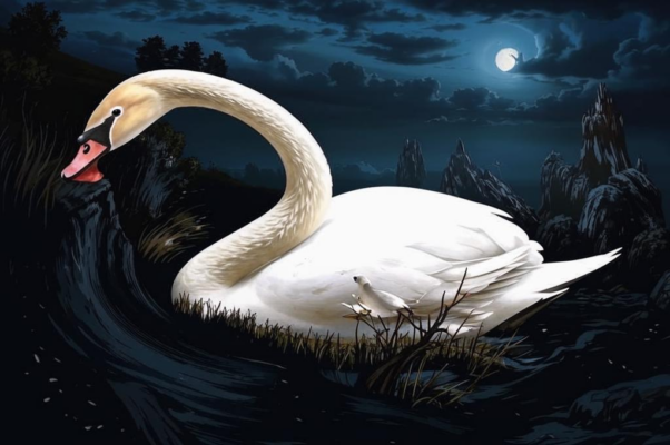 «Есть стихи лебединой породы...»