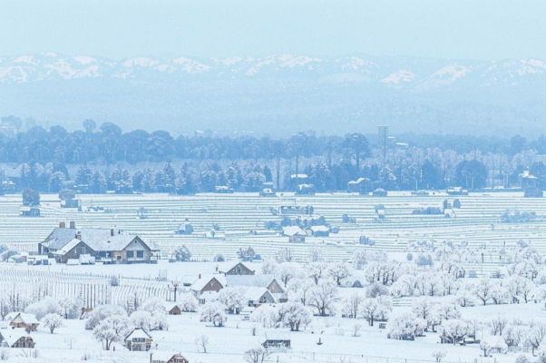 «Я вглядываюсь в неизбежное ...»