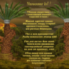 «О Магомет! благое слово...»