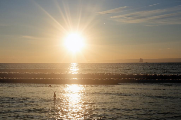 «Как хорошо! Ты посмотри!..»