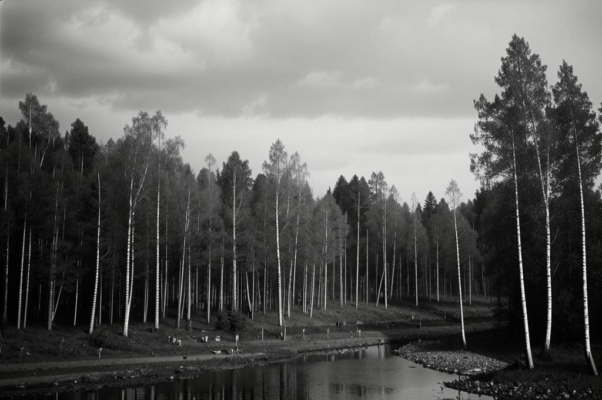 «Доволен я буквально всем!..»
