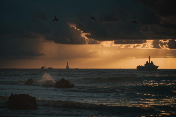 Волнуется южное море