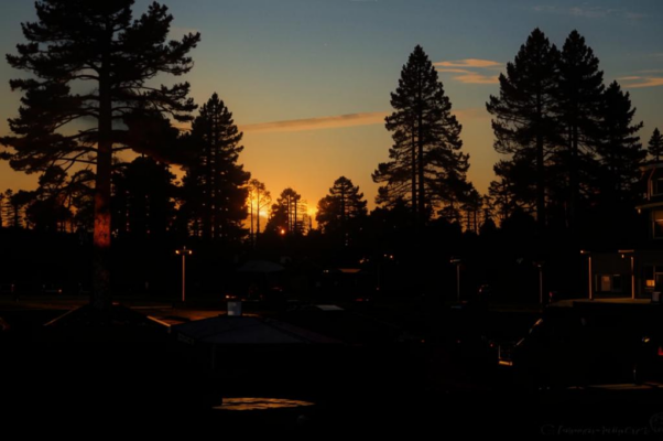 Под ветвями больничных берез