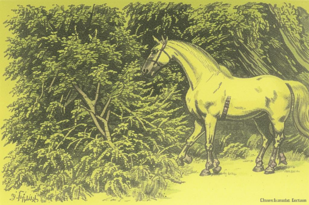 Вечернее происшествие