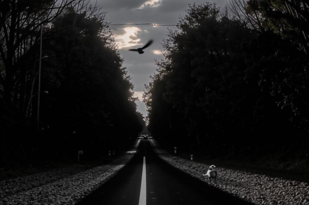 Дорожная элегия