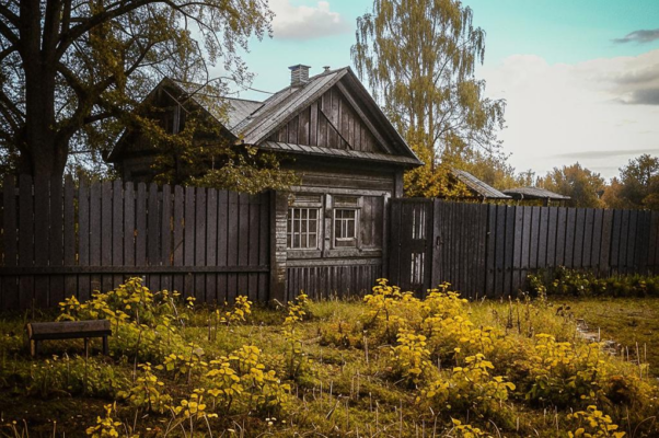 Наследник розы