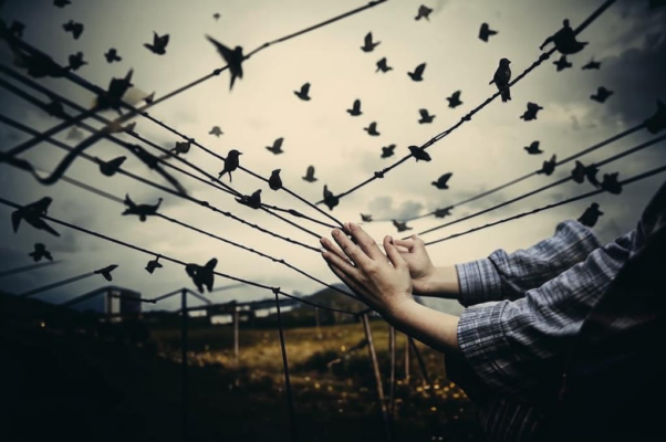 «Cкрипач — с руками белоснежными...»