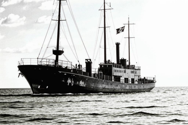 Поэзия («Сквозь ветра поющий поле…»)