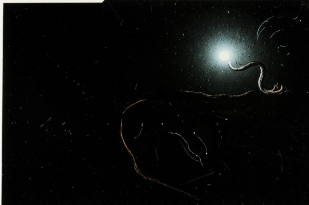 «Как порой тяжело...»