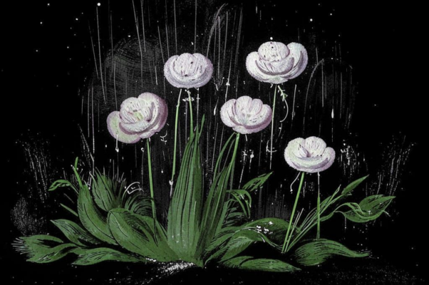 Цветок и нива