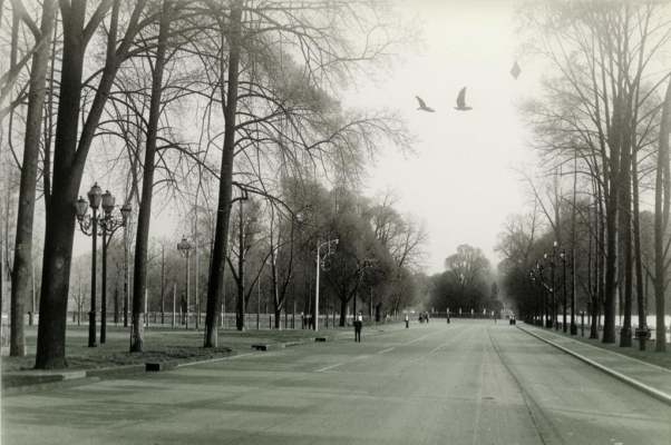 «Петровский сквер открыт семи ветрам...»