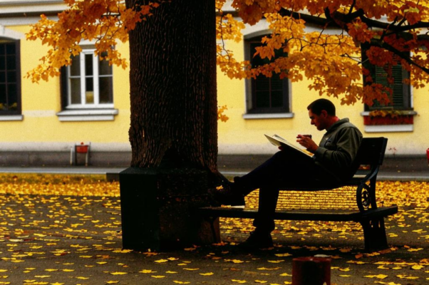 «В провинциальном городке...»