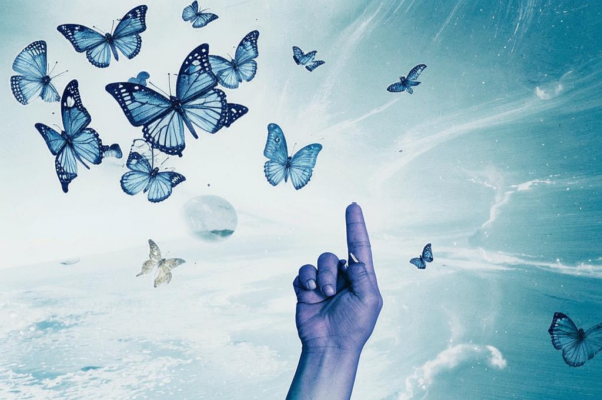 «Мой друг, так умирают мотыльки —...»