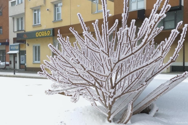 Стансы («Евг.  Изварино…»)