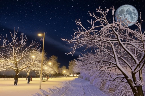 Новогодняя ночь («Новый год.  На небе звёзды…»)