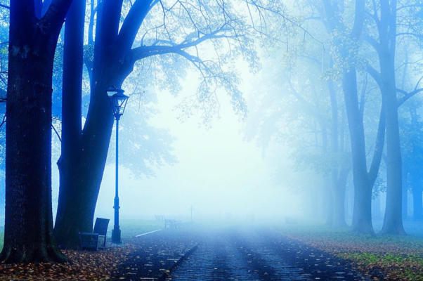 Осенью в старом парке