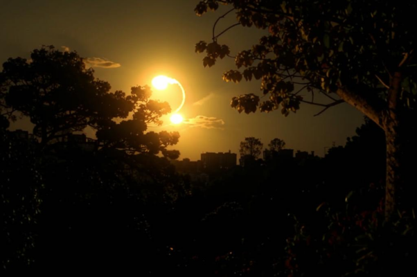 «С плоской «Примой» в зубах: кому в бровь, кому в пах...»