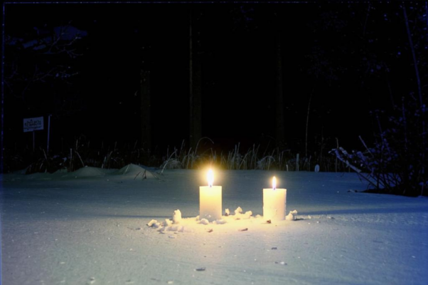 Зима («Каждый год наступает зима…»)