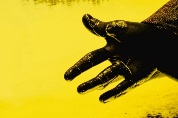 Новая Голландия («По чернильной глади …»)