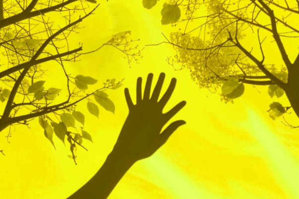 «В августе в Новогорске...»