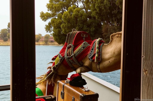 «Из окна я вижу пруд...»