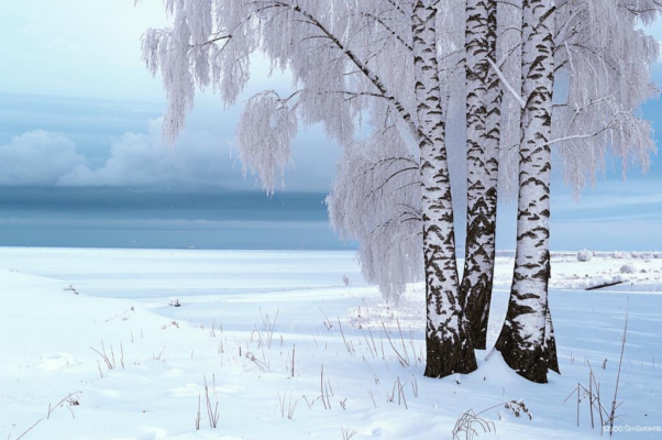 Меньшиков («Фрагмент …»)