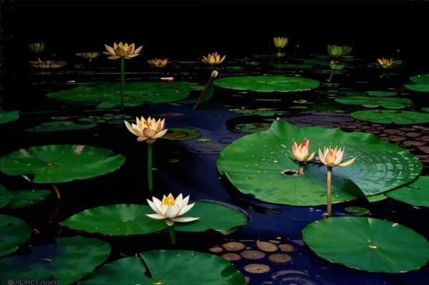 «Люк вниз и надпись «Посторонним...»