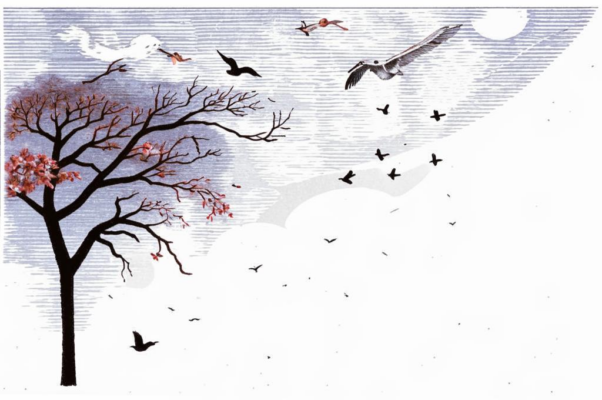 «Не дли трагический надрыв...»