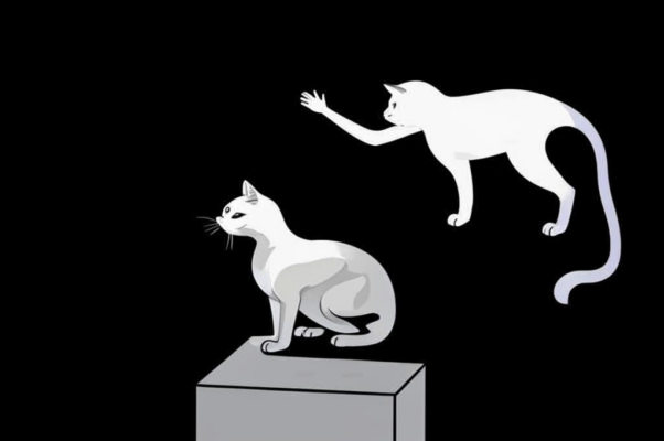 «Пять путешествий бледного кота...»