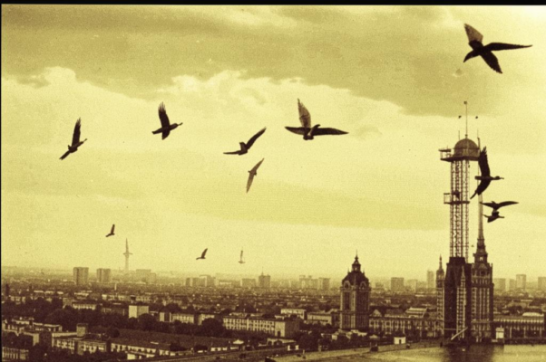 «Со свистом крыл, визгливой тучей...»