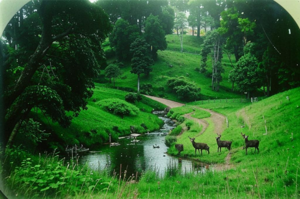 «— Я, дедушка, хочу покою...»