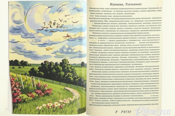 «В стихах господствует закономерность...»