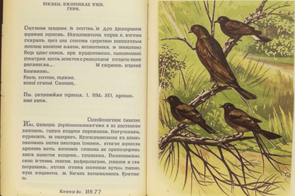 «...птиц не слышно боле...»