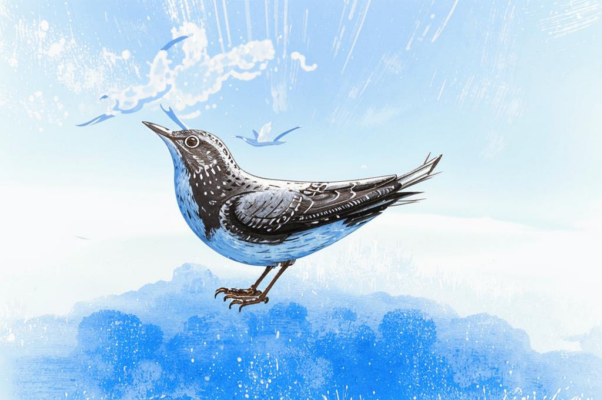 «В апреле прилетают жаворонки...»