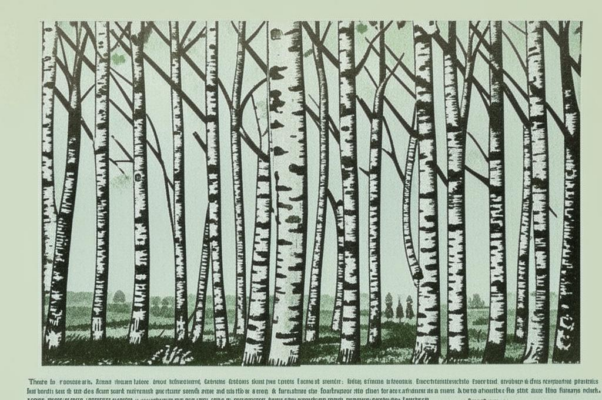 «Елки-палки...»