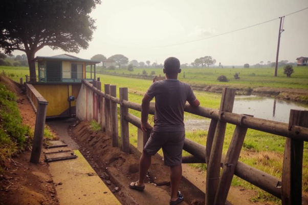 «Жлоб Муня кукает коло калитки...»