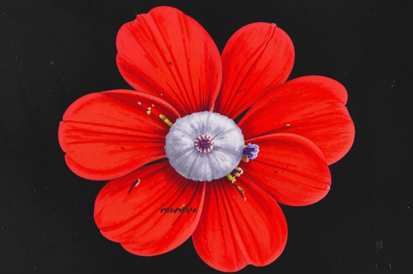 «И как от угля, в темноте горящего...»