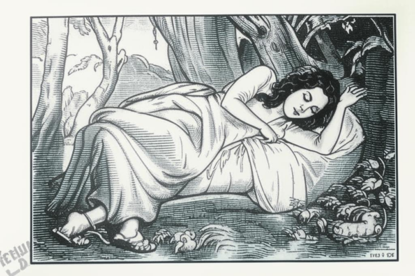 «Который год...»