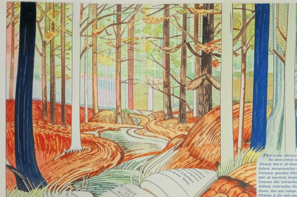 «Мы были здесь осенью...»