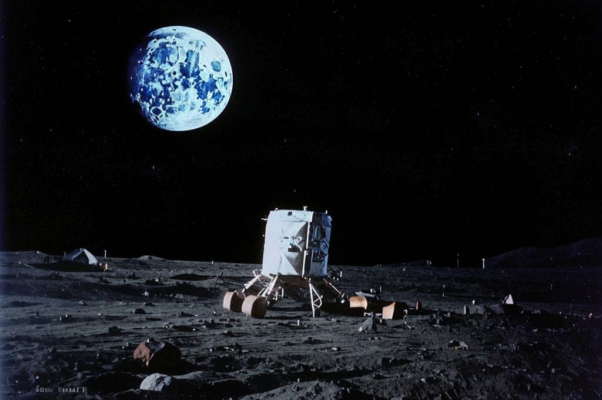 «На помидорах — телесные меты...»