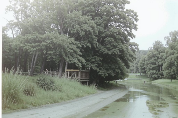 «Чумацкий шлях, чи не чумацкий...»