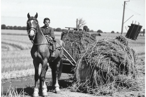 На току («В стогу молодой солом…»)